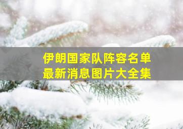 伊朗国家队阵容名单最新消息图片大全集