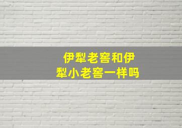 伊犁老窖和伊犁小老窖一样吗