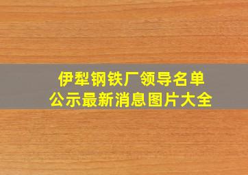 伊犁钢铁厂领导名单公示最新消息图片大全