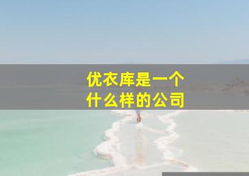 优衣库是一个什么样的公司