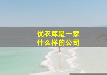 优衣库是一家什么样的公司