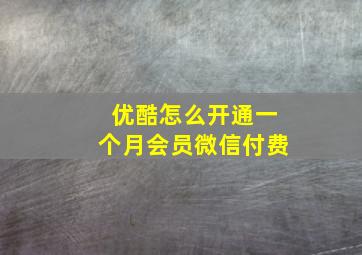 优酷怎么开通一个月会员微信付费