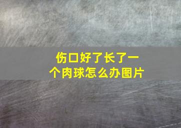 伤口好了长了一个肉球怎么办图片