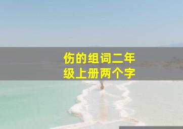 伤的组词二年级上册两个字