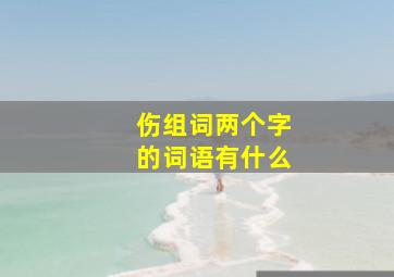 伤组词两个字的词语有什么