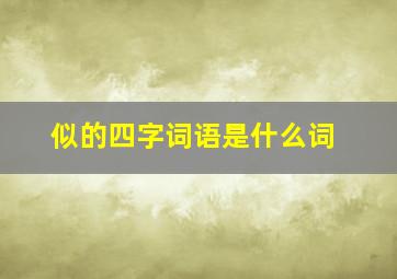 似的四字词语是什么词