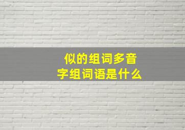 似的组词多音字组词语是什么