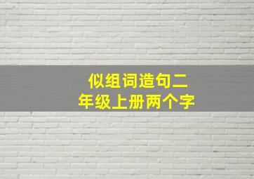 似组词造句二年级上册两个字