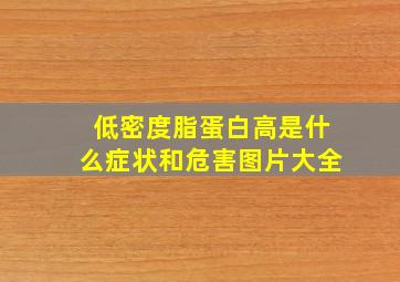 低密度脂蛋白高是什么症状和危害图片大全