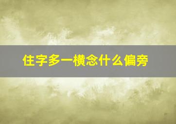 住字多一横念什么偏旁