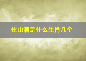 住山洞是什么生肖几个