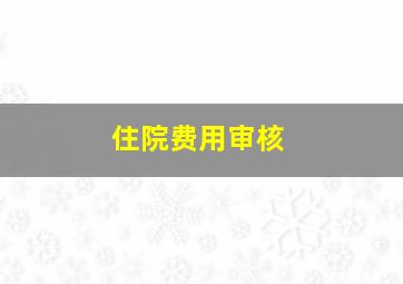 住院费用审核