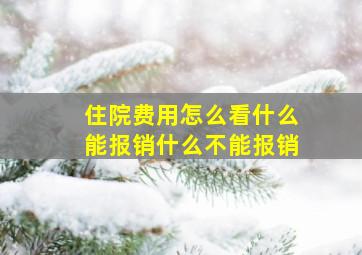 住院费用怎么看什么能报销什么不能报销