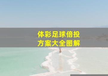 体彩足球倍投方案大全图解