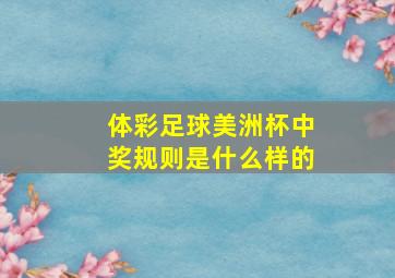 体彩足球美洲杯中奖规则是什么样的