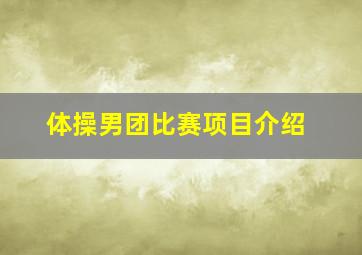 体操男团比赛项目介绍