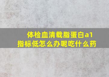 体检血清载脂蛋白a1指标低怎么办呢吃什么药