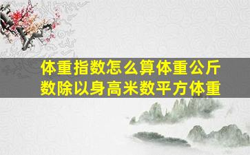 体重指数怎么算体重公斤数除以身高米数平方体重