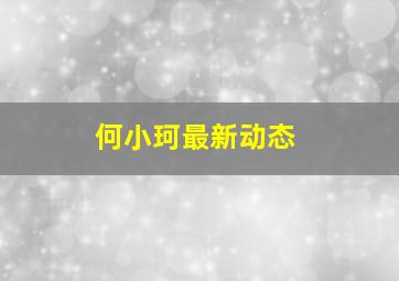 何小珂最新动态