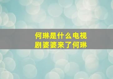 何琳是什么电视剧婆婆来了何琳