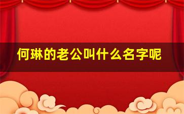 何琳的老公叫什么名字呢