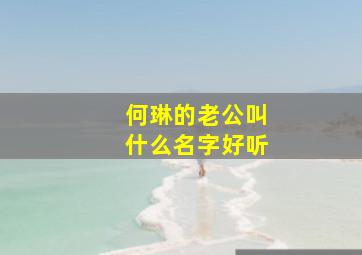 何琳的老公叫什么名字好听