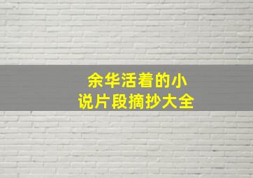 余华活着的小说片段摘抄大全