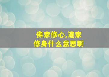 佛家修心,道家修身什么意思啊