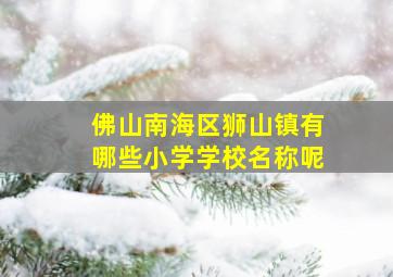 佛山南海区狮山镇有哪些小学学校名称呢