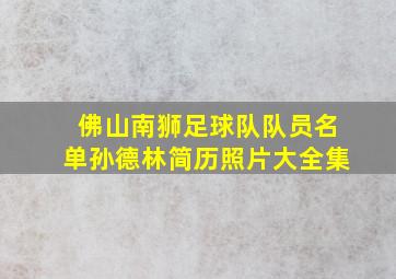 佛山南狮足球队队员名单孙德林简历照片大全集