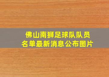 佛山南狮足球队队员名单最新消息公布图片