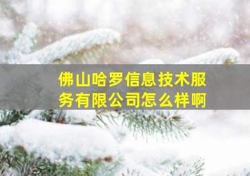 佛山哈罗信息技术服务有限公司怎么样啊