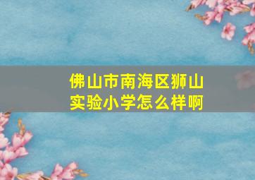 佛山市南海区狮山实验小学怎么样啊