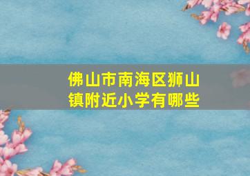 佛山市南海区狮山镇附近小学有哪些