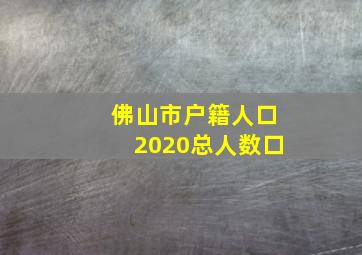 佛山市户籍人口2020总人数口