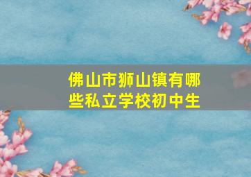 佛山市狮山镇有哪些私立学校初中生