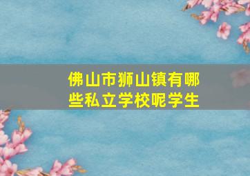 佛山市狮山镇有哪些私立学校呢学生