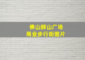 佛山狮山广场商业步行街图片