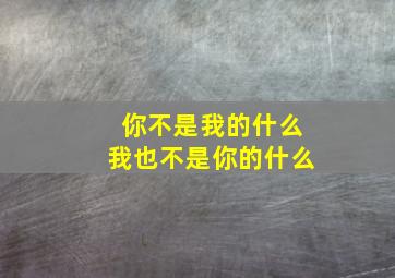 你不是我的什么我也不是你的什么