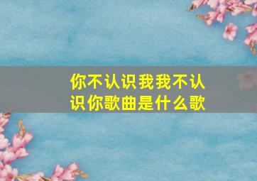 你不认识我我不认识你歌曲是什么歌