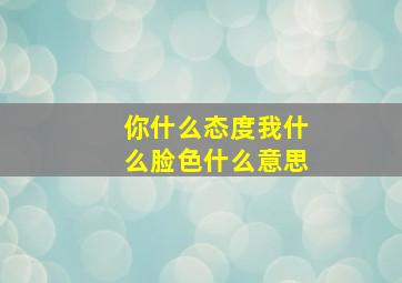 你什么态度我什么脸色什么意思