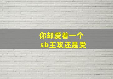 你却爱着一个sb主攻还是受