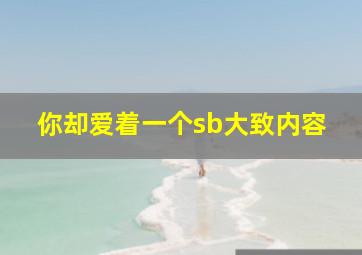 你却爱着一个sb大致内容