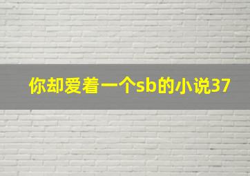 你却爱着一个sb的小说37