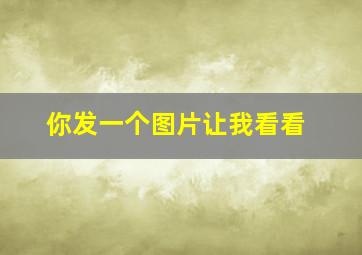 你发一个图片让我看看