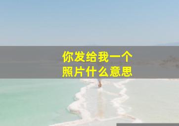 你发给我一个照片什么意思