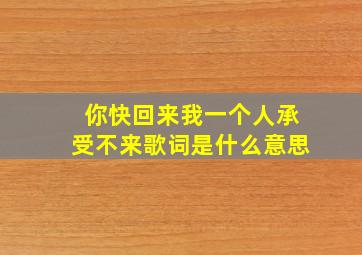 你快回来我一个人承受不来歌词是什么意思