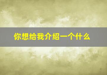 你想给我介绍一个什么