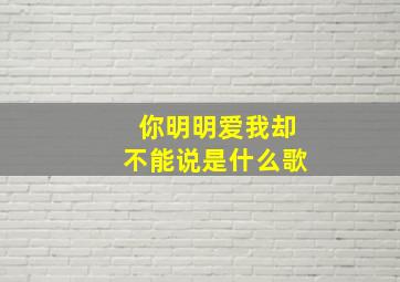 你明明爱我却不能说是什么歌