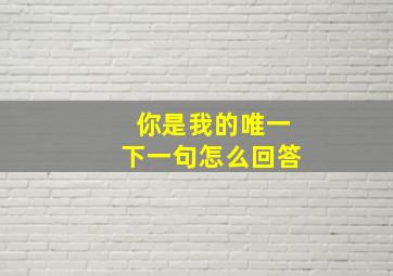 你是我的唯一下一句怎么回答